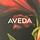 Aveda