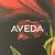 Aveda