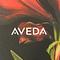 Aveda
