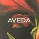 Aveda